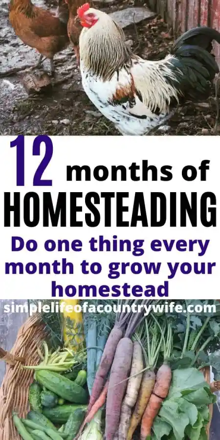 How to Start Homesteading for Beginners